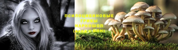 не бодяженный Каменногорск
