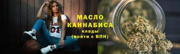 спайс Каменка