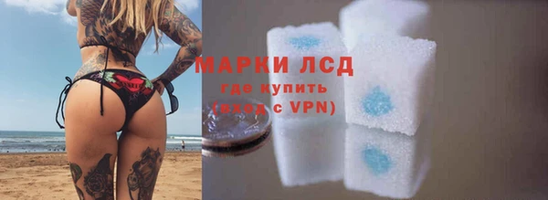 спайс Каменка