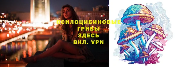 спайс Каменка