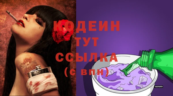 спайс Каменка