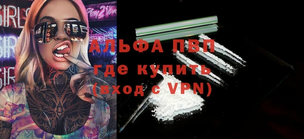 спайс Каменка