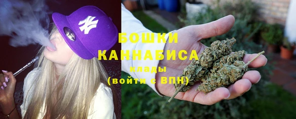 спайс Каменка