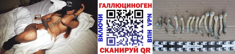 Купить где  Дальнегорск  Галлюциногенные грибы Magic Shrooms 